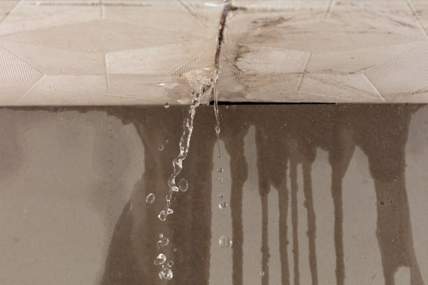 Professional Structural Drying technician working in Highland Park, PA